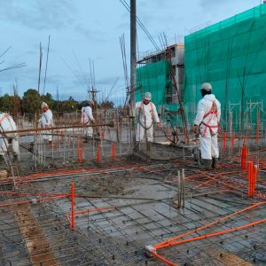 WhatsApp Image 2025-09-19 at 2.31.28 PM